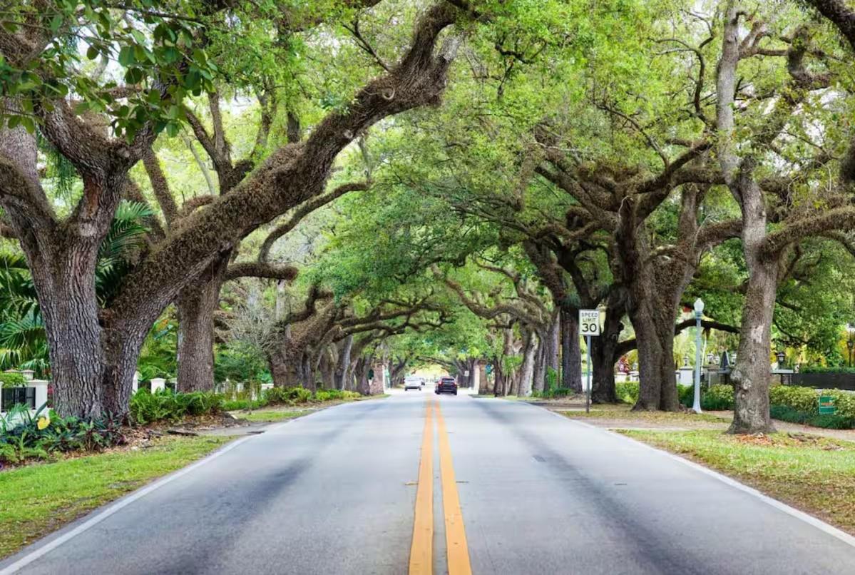 Casa Coral Ξενοδοχείο Coral Gables Εξωτερικό φωτογραφία